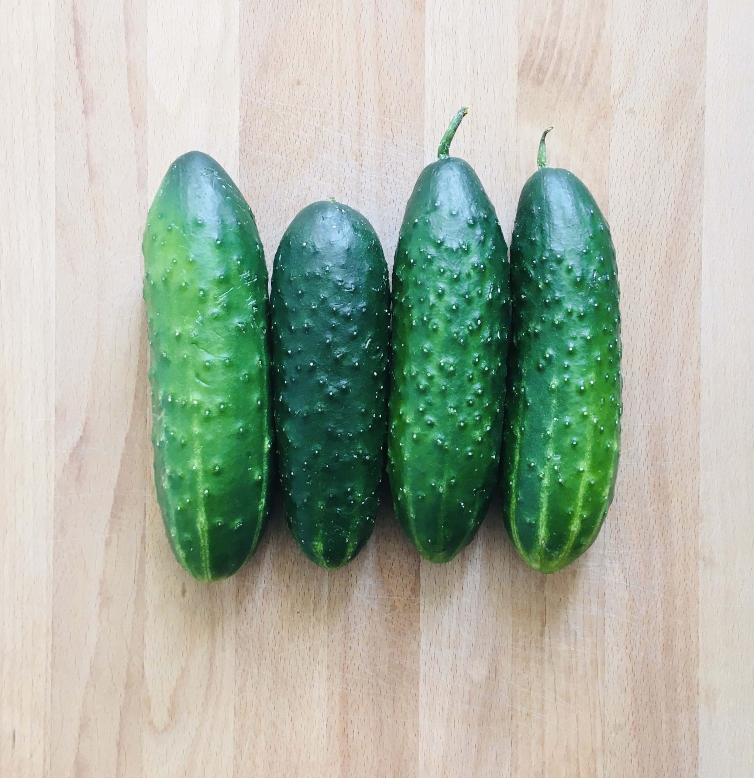 castraveți cornichon