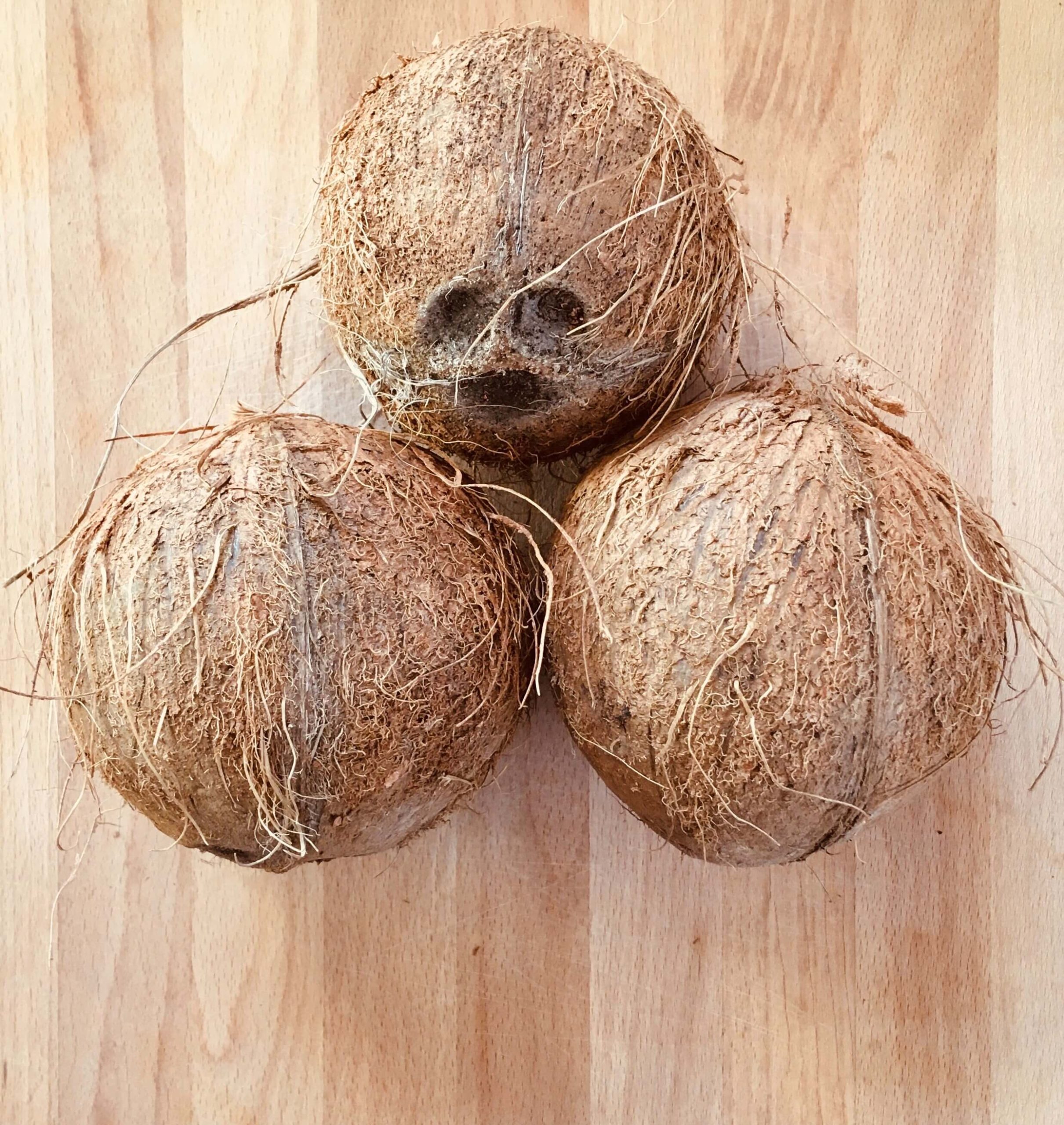 nucă de cocos